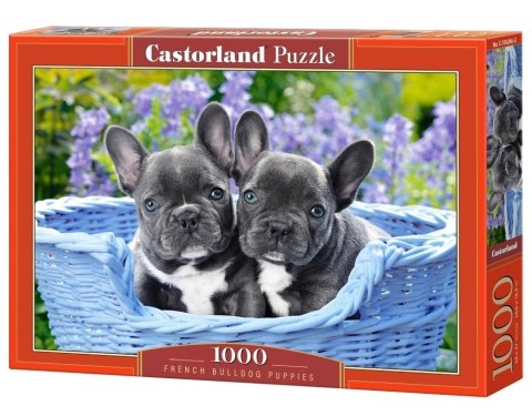 Puzzle układanka 1000 elementów Buldogi francuskie 68 x 47 cm CASTORLAND Puzzle układanka 1000 elementów Buldogi francuskie 68 x 47 cm CASTORLAND