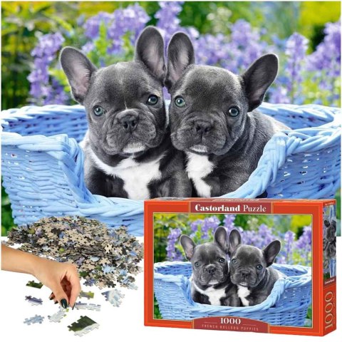 Puzzle układanka 1000 elementów Buldogi francuskie 68 x 47 cm CASTORLAND Puzzle układanka 1000 elementów Buldogi francuskie 68 x 47 cm CASTORLAND