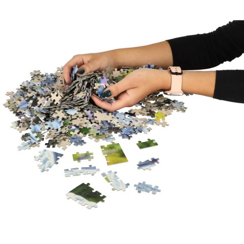 Puzzle układanka 1000 elementów Buldogi francuskie 68 x 47 cm CASTORLAND Puzzle układanka 1000 elementów Buldogi francuskie 68 x 47 cm CASTORLAND